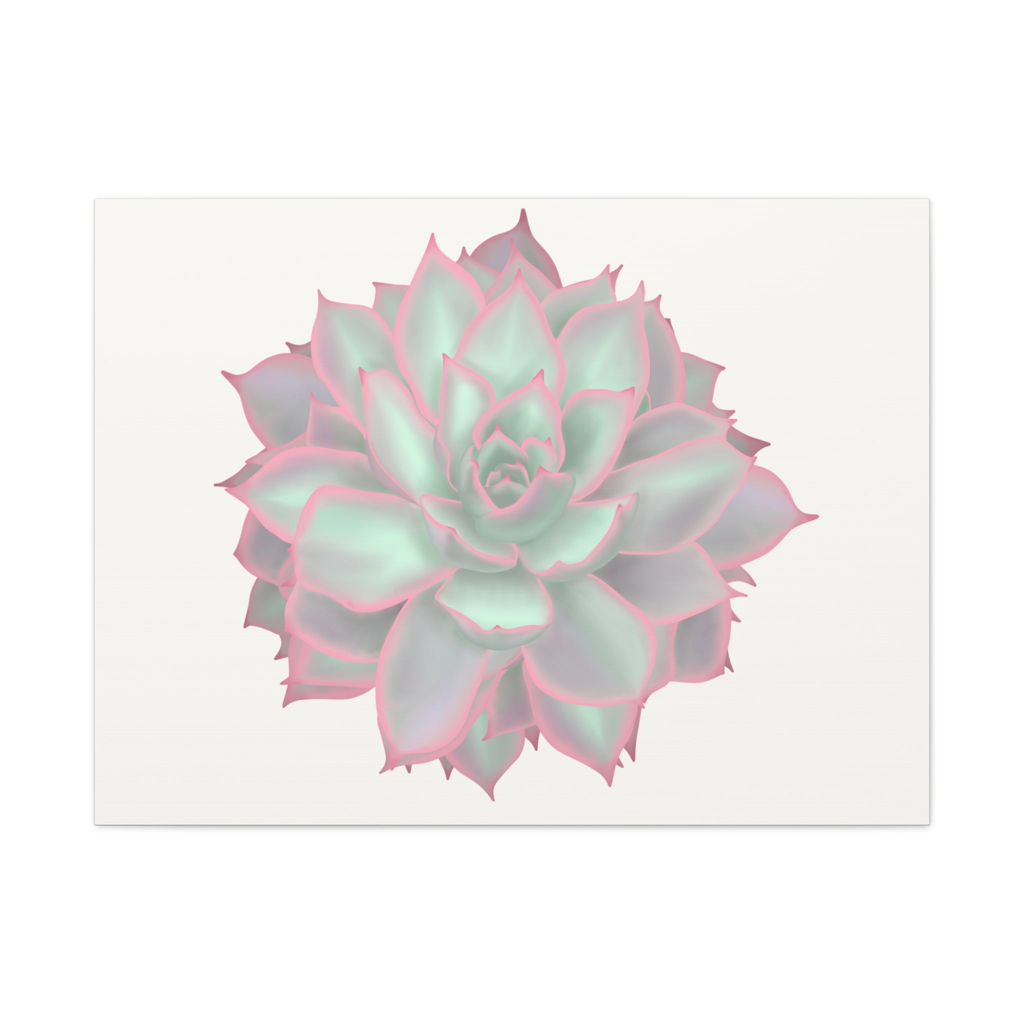 Echeveria Violet Queen Succulent Canvas Print – Botanical Wall Art - Poppy Natural