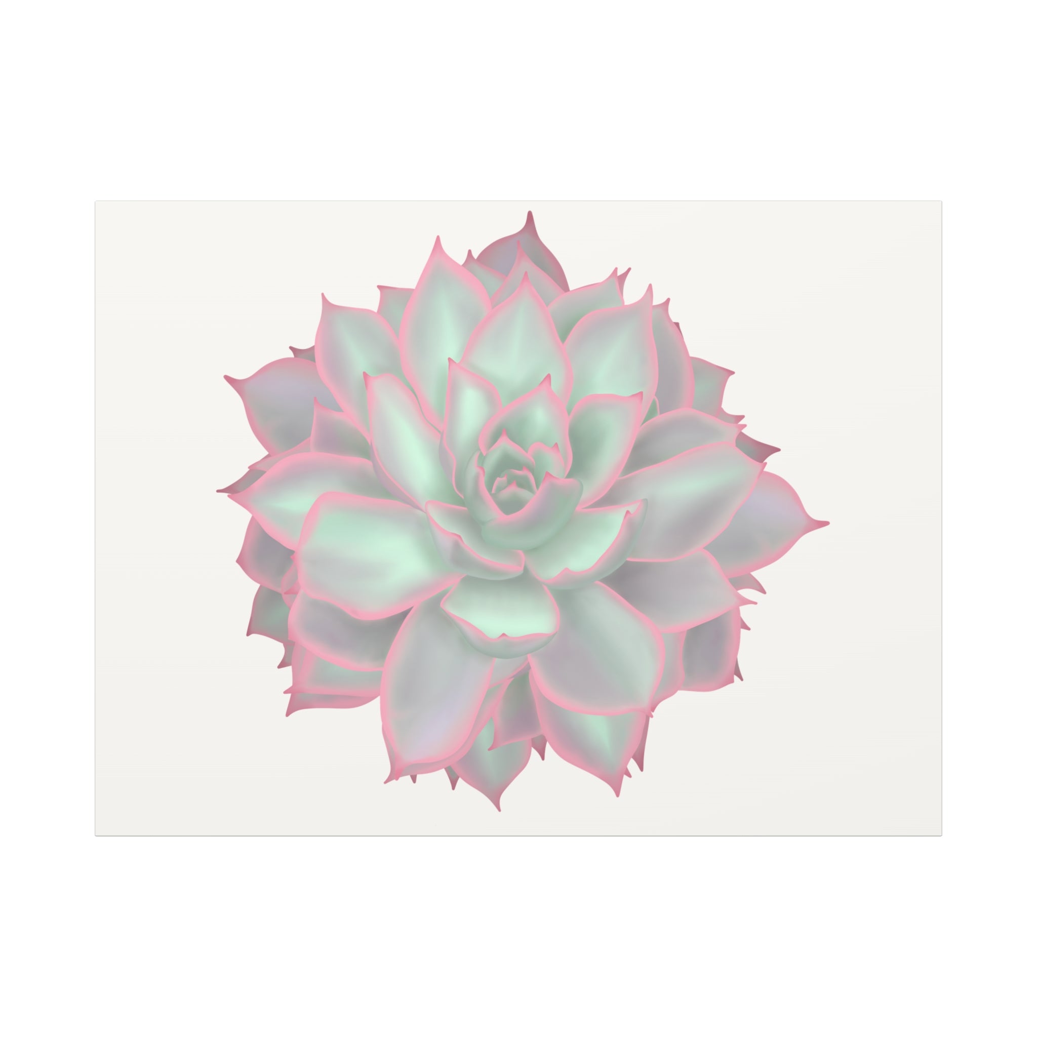 Echeveria Violet Queen Succulent Canvas Print – Botanical Wall Art - Poppy Natural