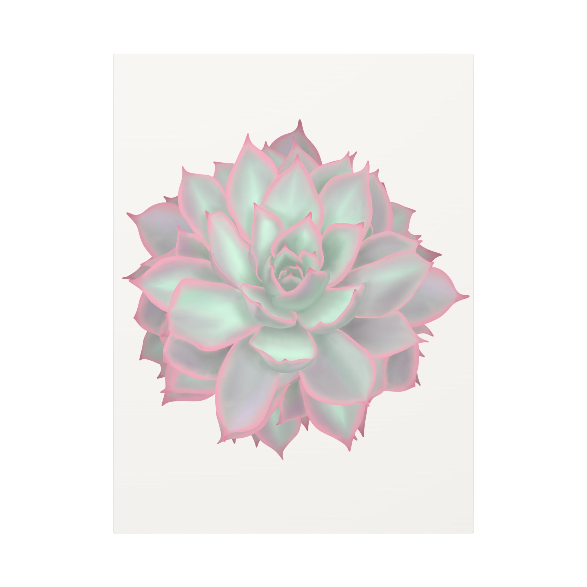Echeveria Violet Queen Succulent Canvas Print – Botanical Wall Art - Poppy Natural
