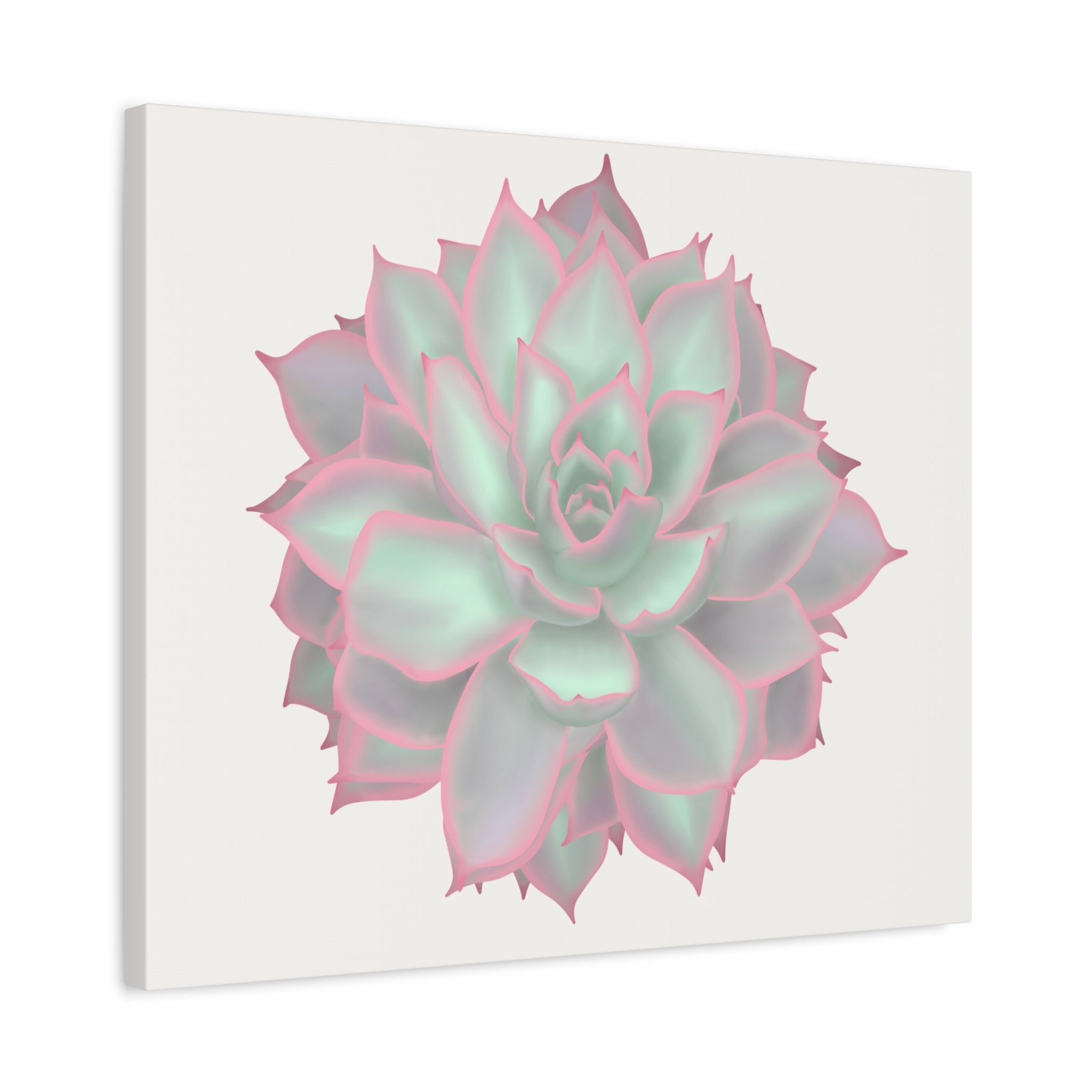 Echeveria Violet Queen Succulent Canvas Print – Botanical Wall Art - Poppy Natural