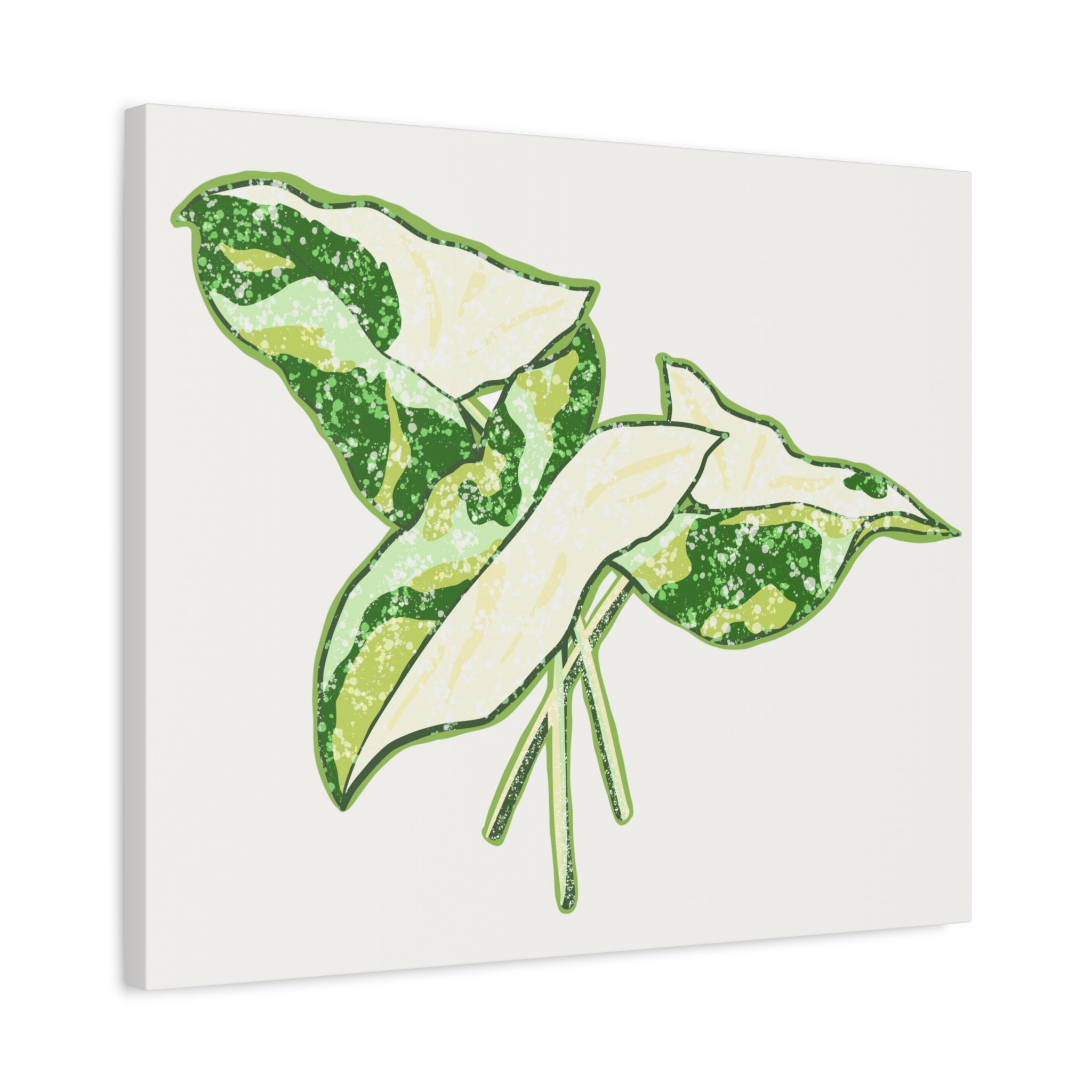 Marble Syngonium Canvas Print – Botanical Wall Art - Poppy Natural