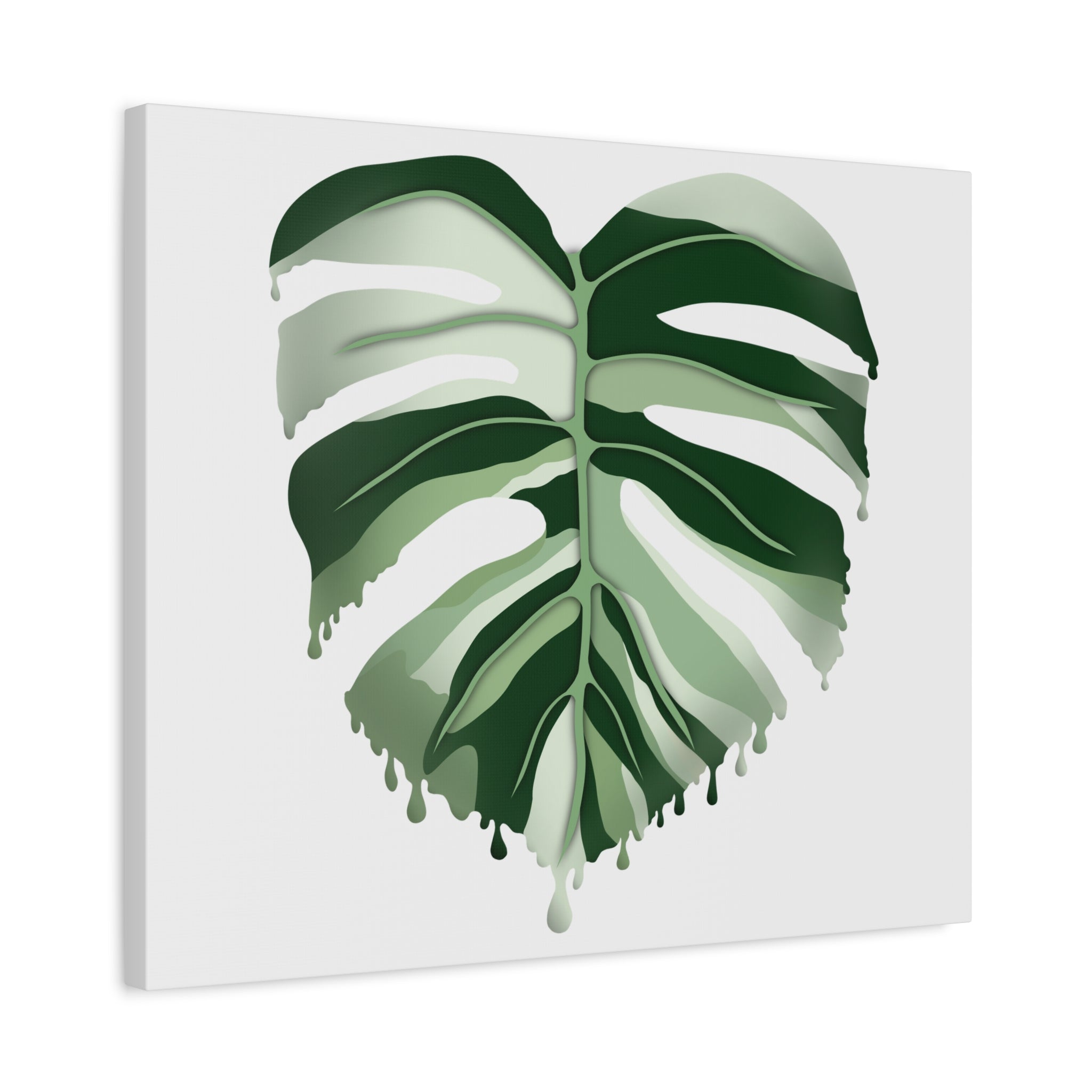 Melting Monstera Albo Canvas Print – Botanical Wall Art - Poppy Natural