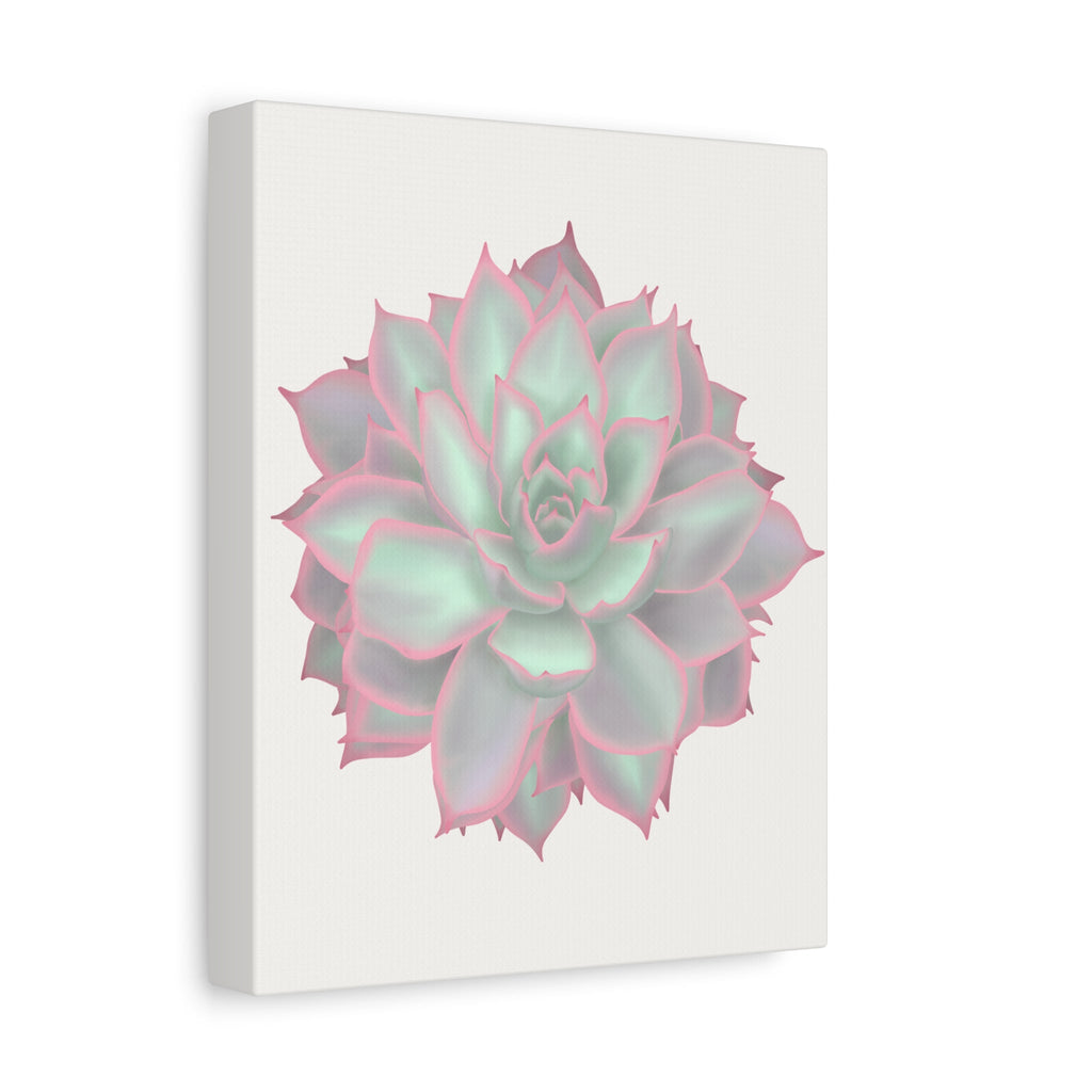 Echeveria Violet Queen Succulent Canvas Print – Botanical Wall Art