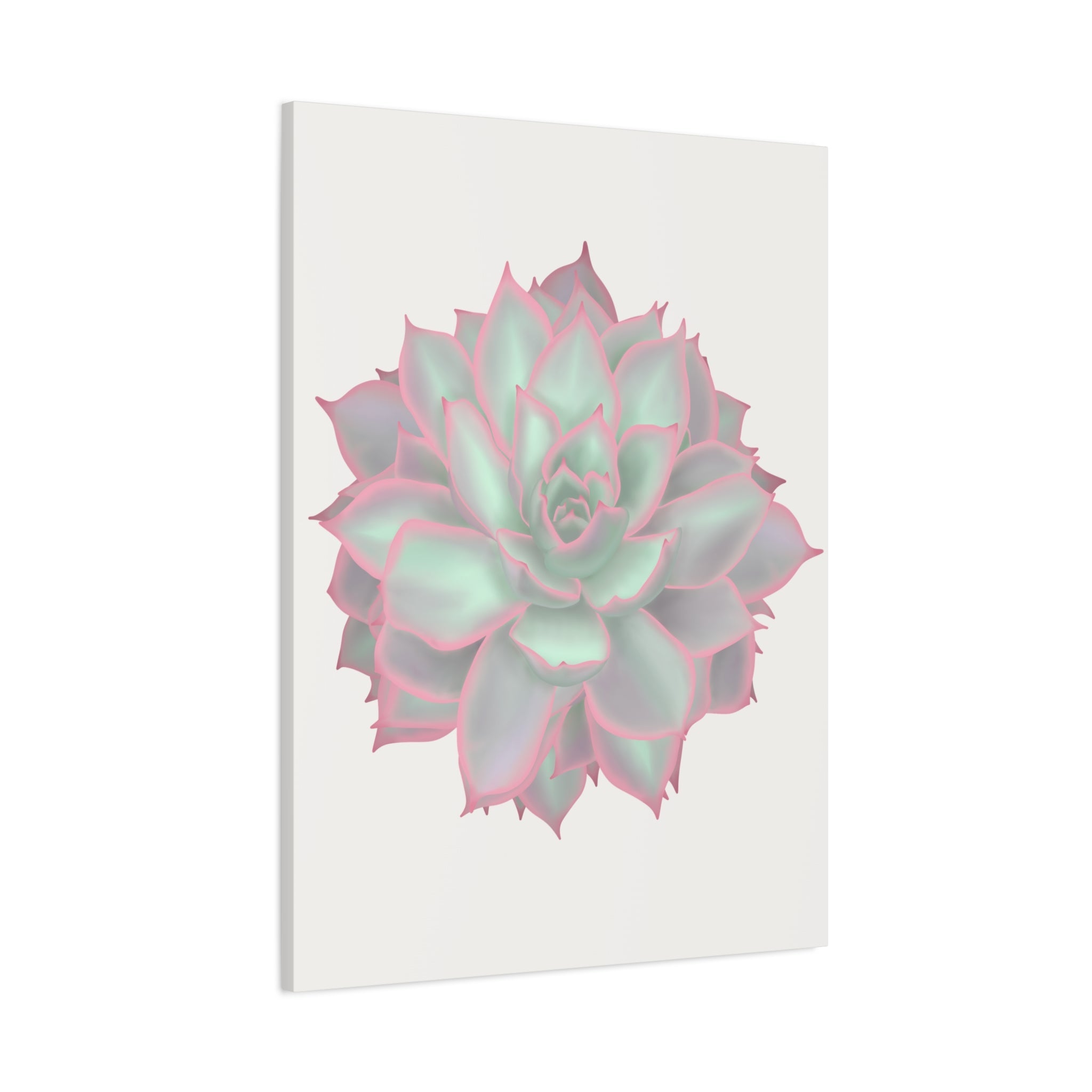 Echeveria Violet Queen Succulent Canvas Print – Botanical Wall Art