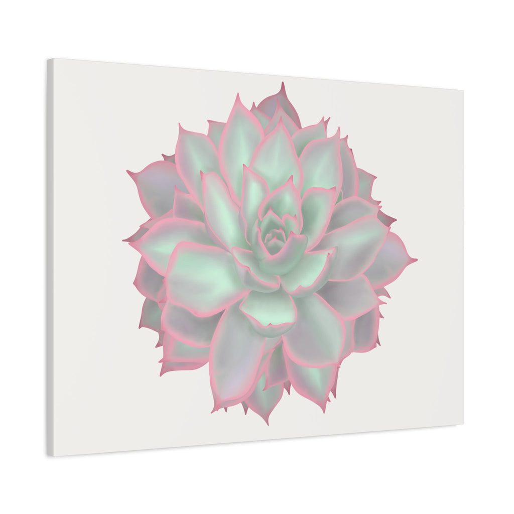 Echeveria Violet Queen Succulent Canvas Print – Botanical Wall Art