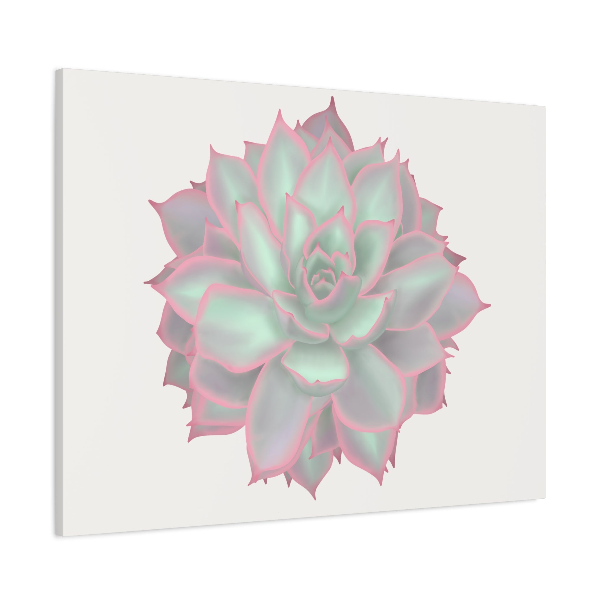 Echeveria Violet Queen Succulent Canvas Print – Botanical Wall Art
