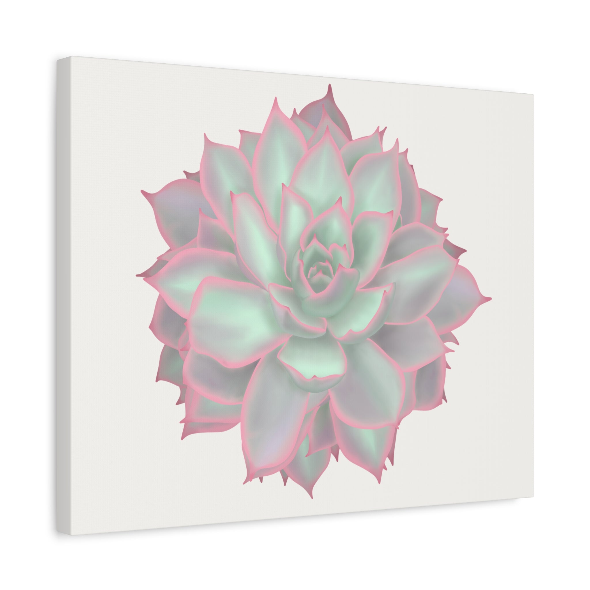 Echeveria Violet Queen Succulent Canvas Print – Botanical Wall Art