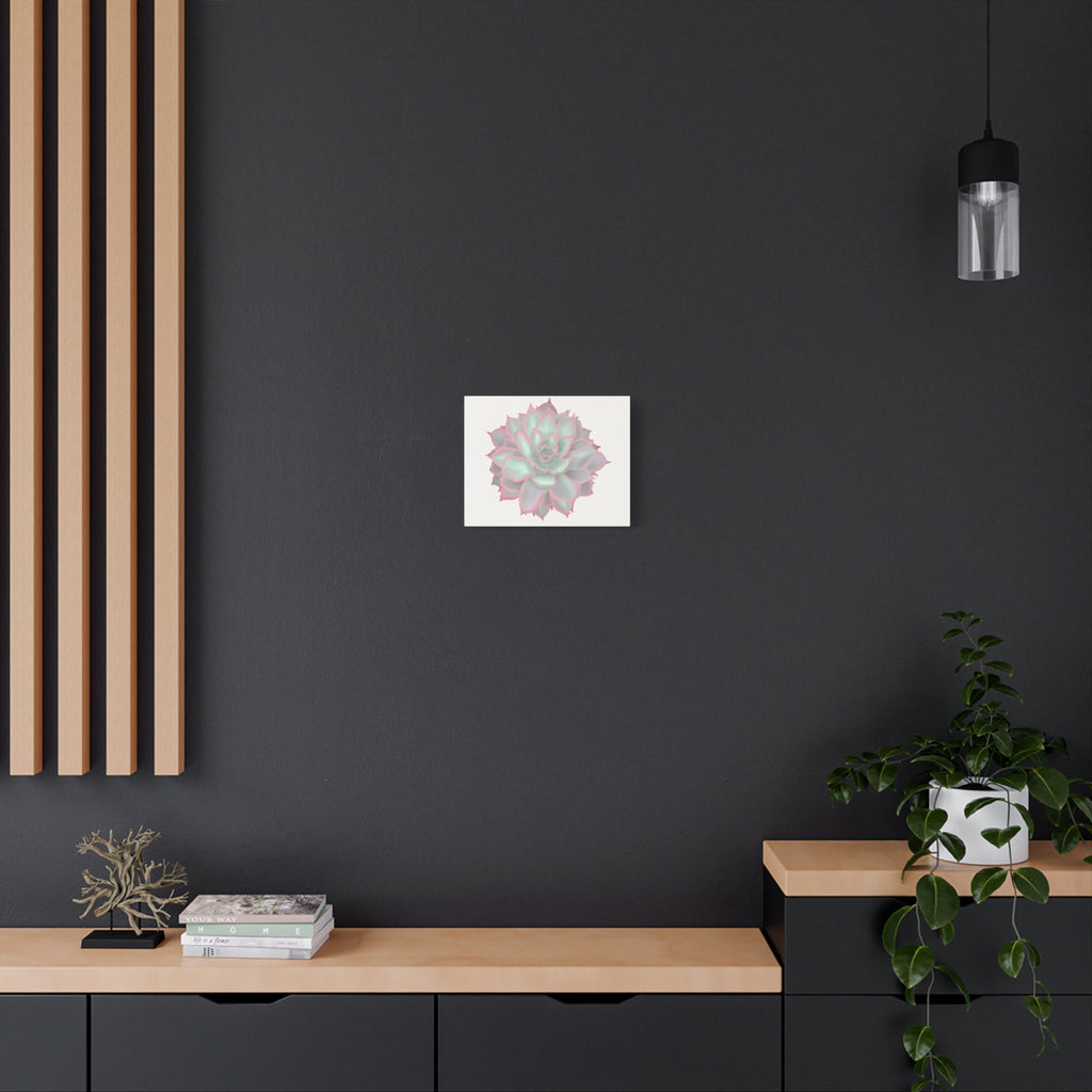 Echeveria Violet Queen Succulent Canvas Print – Botanical Wall Art