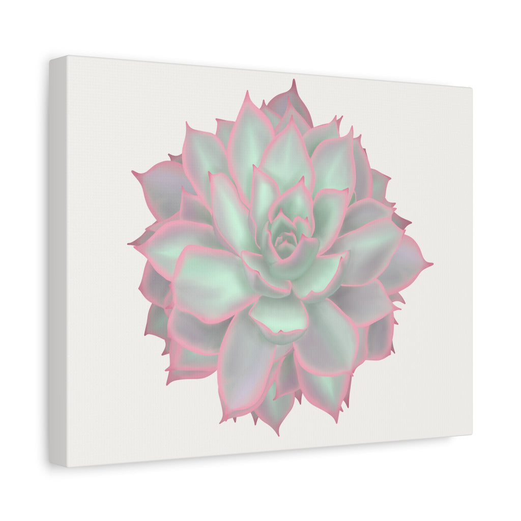 Echeveria Violet Queen Succulent Canvas Print – Botanical Wall Art