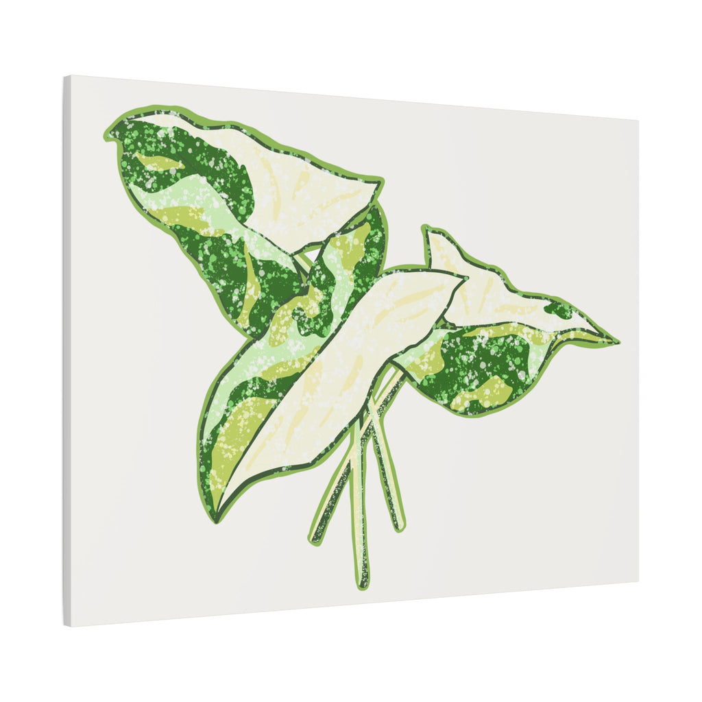 Marble Syngonium Canvas Print – Botanical Wall Art