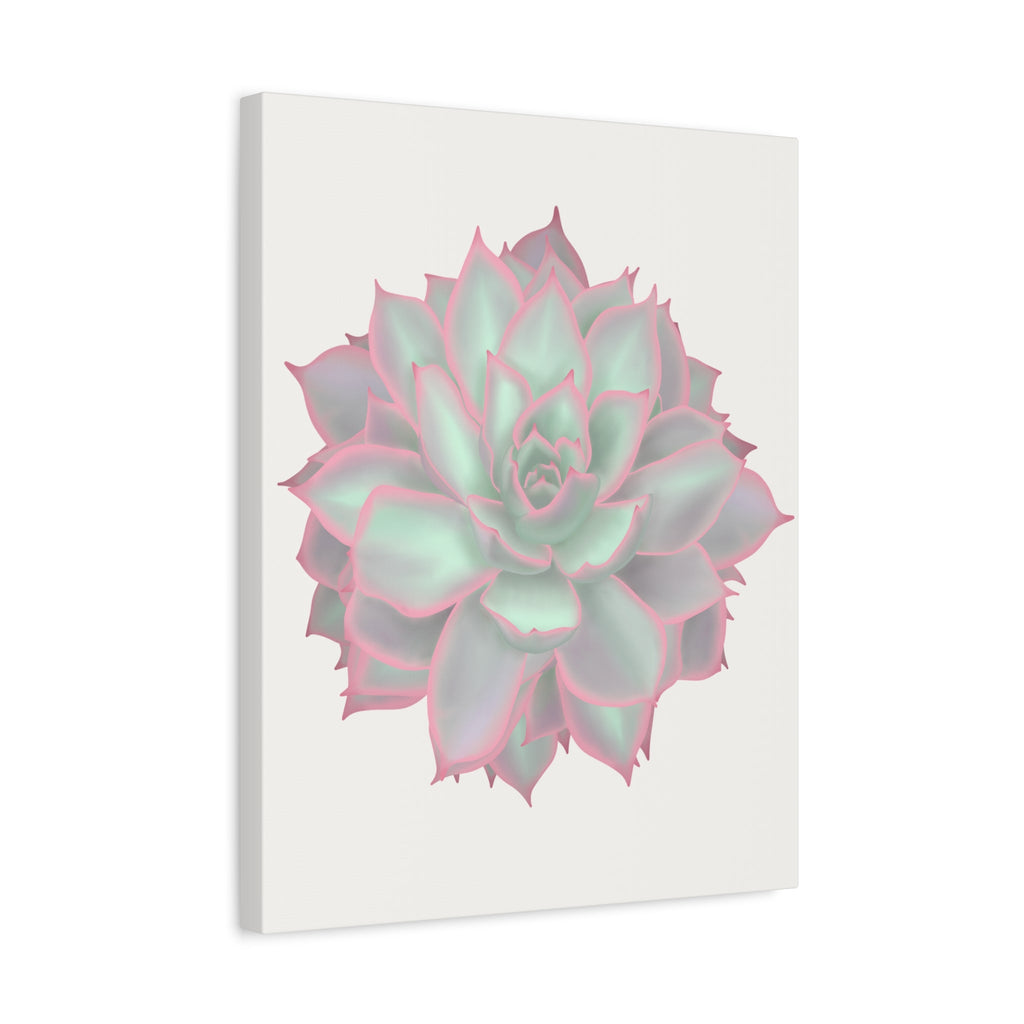 Echeveria Violet Queen Succulent Canvas Print – Botanical Wall Art