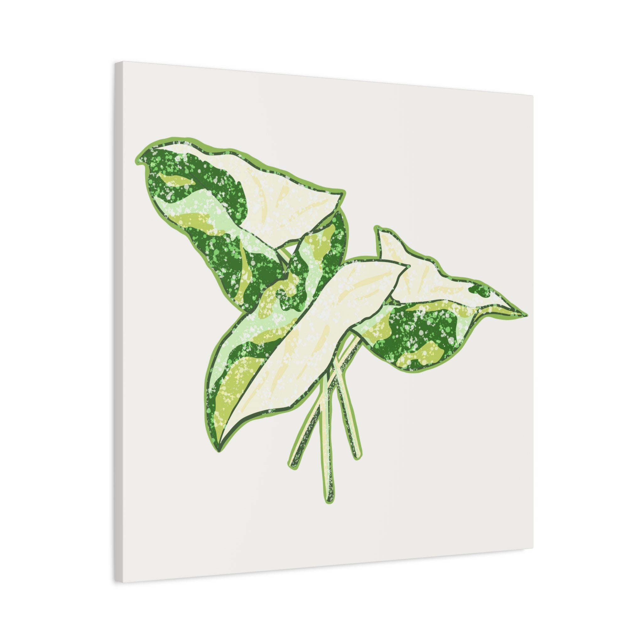 Marble Syngonium Canvas Print – Botanical Wall Art