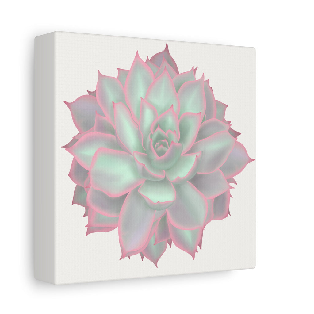 Echeveria Violet Queen Succulent Canvas Print – Botanical Wall Art