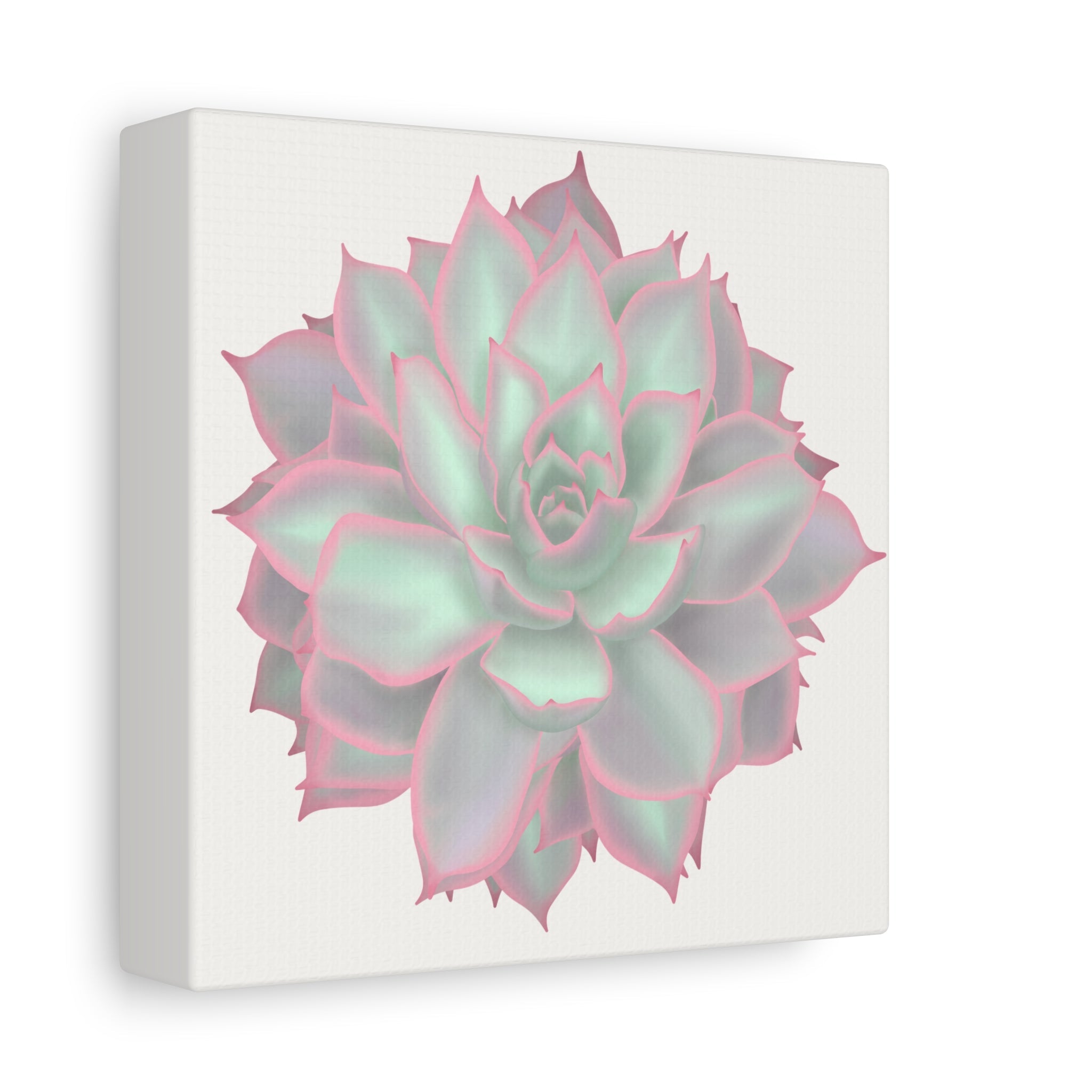 Echeveria Violet Queen Succulent Canvas Print – Botanical Wall Art