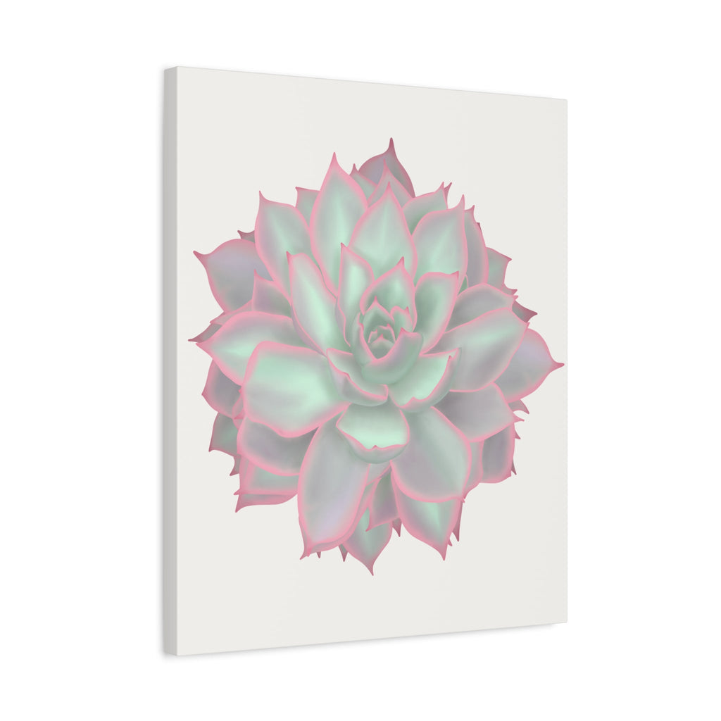 Echeveria Violet Queen Succulent Canvas Print – Botanical Wall Art