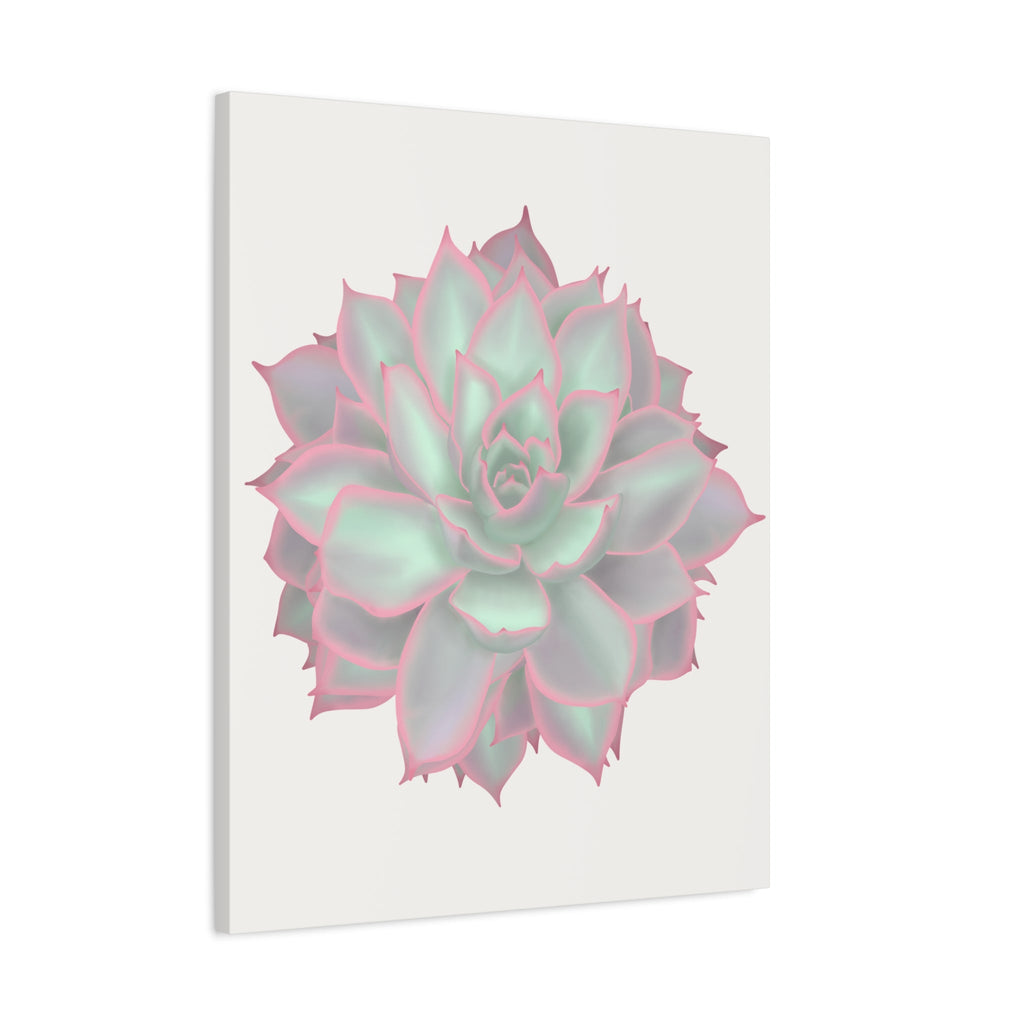 Echeveria Violet Queen Succulent Canvas Print – Botanical Wall Art