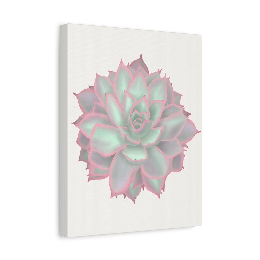 Echeveria Violet Queen Succulent Canvas Print – Botanical Wall Art