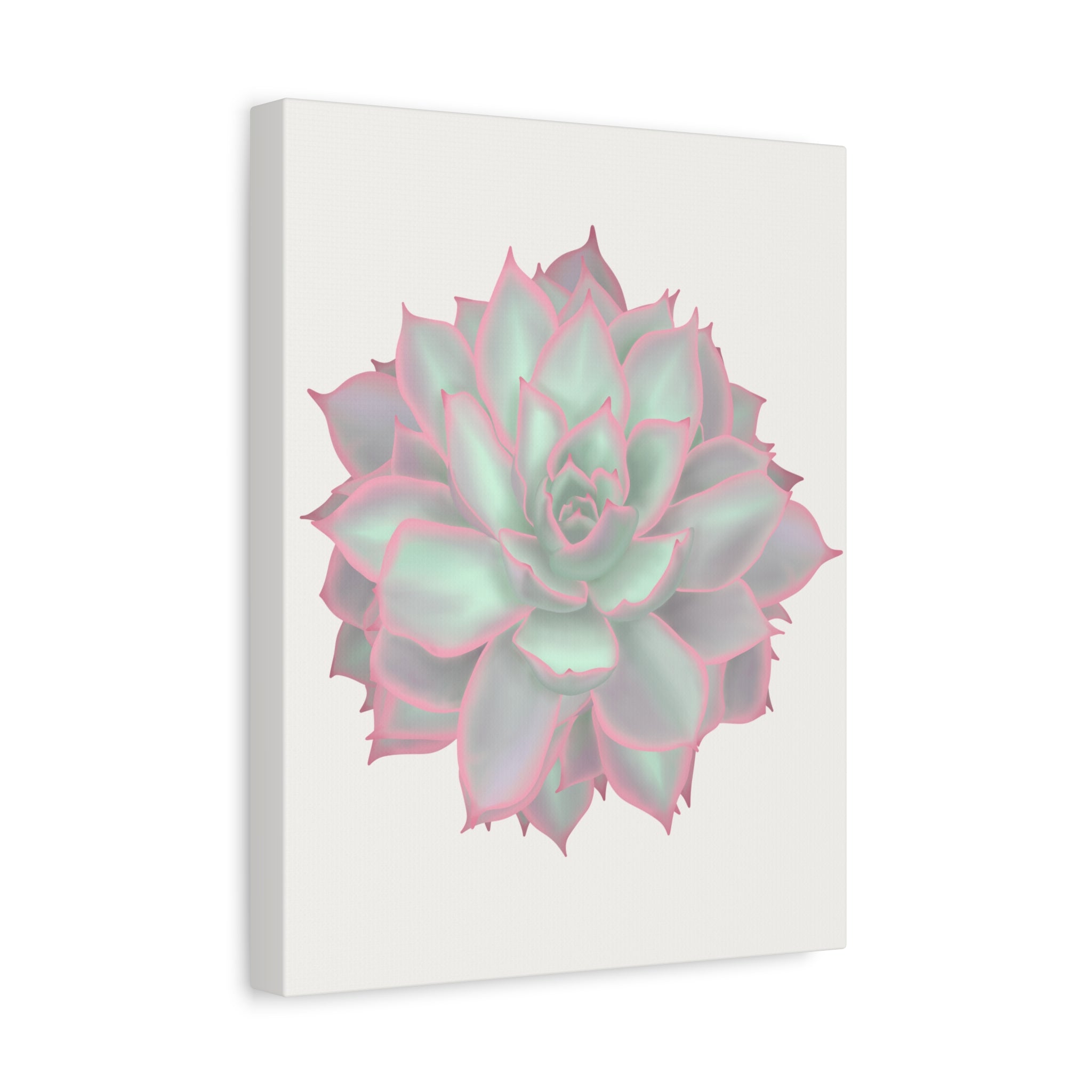 Echeveria Violet Queen Succulent Canvas Print – Botanical Wall Art