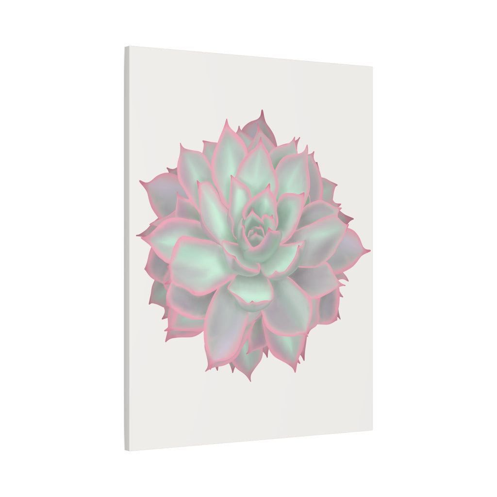 Echeveria Violet Queen Succulent Canvas Print – Botanical Wall Art