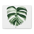 Artistic depiction of a green leaf on a white background