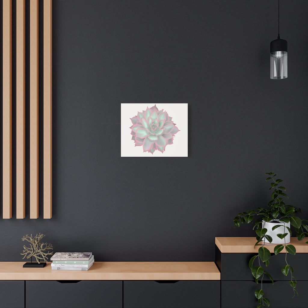 Echeveria Violet Queen Succulent Canvas Print – Botanical Wall Art