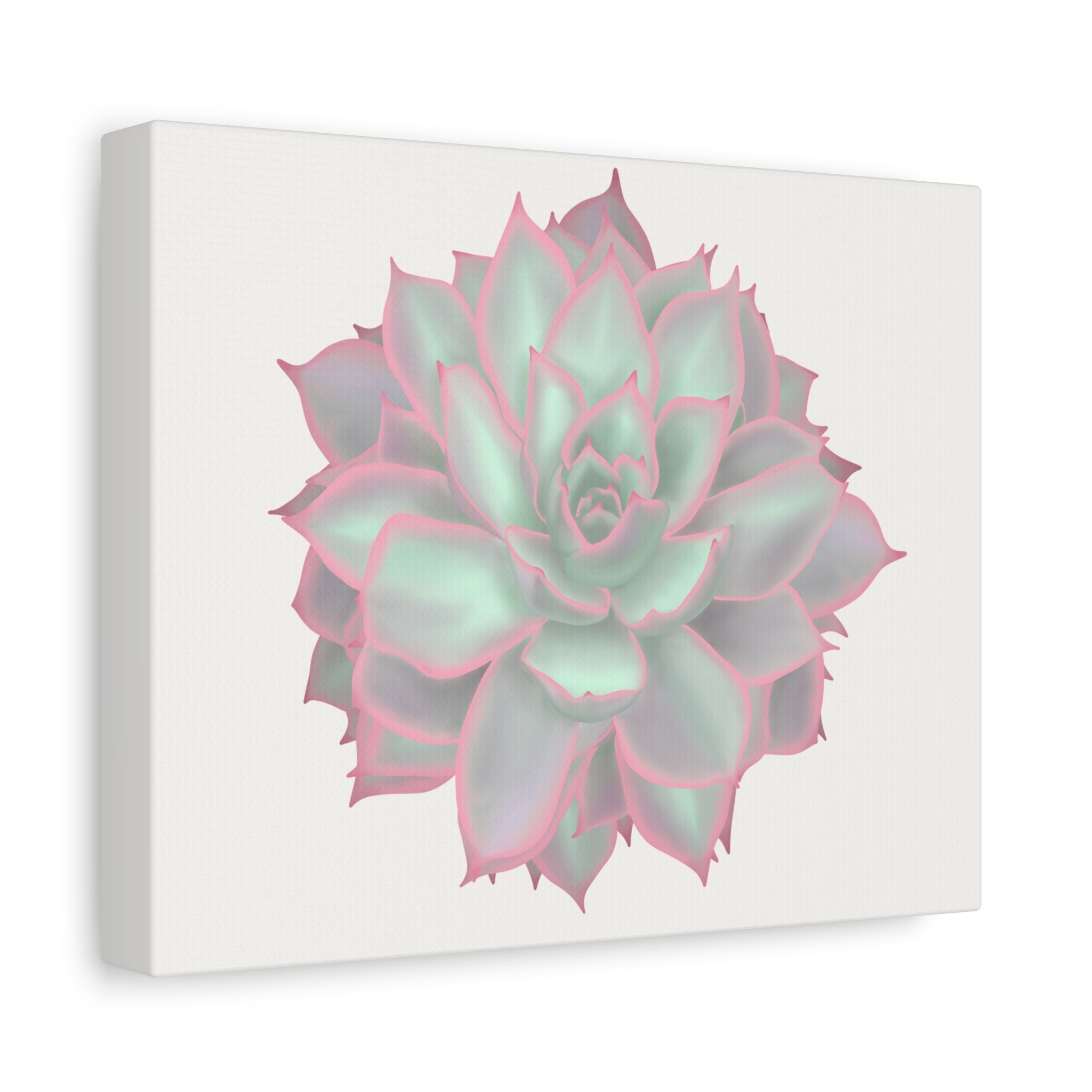 Echeveria Violet Queen Succulent Canvas Print – Botanical Wall Art