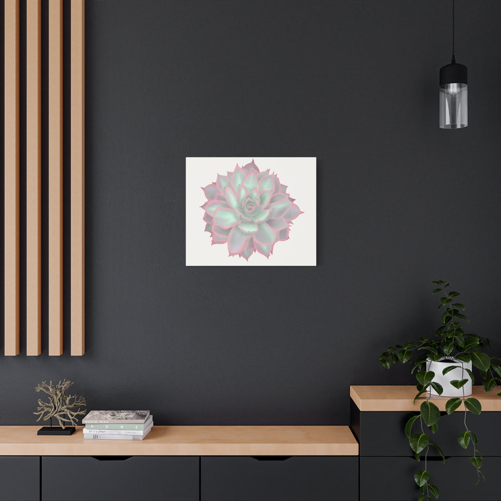 Echeveria Violet Queen Succulent Canvas Print – Botanical Wall Art