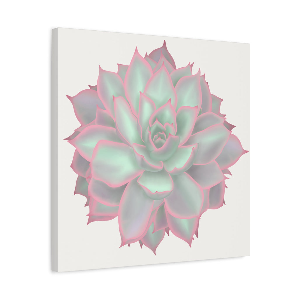 Echeveria Violet Queen Succulent Canvas Print – Botanical Wall Art
