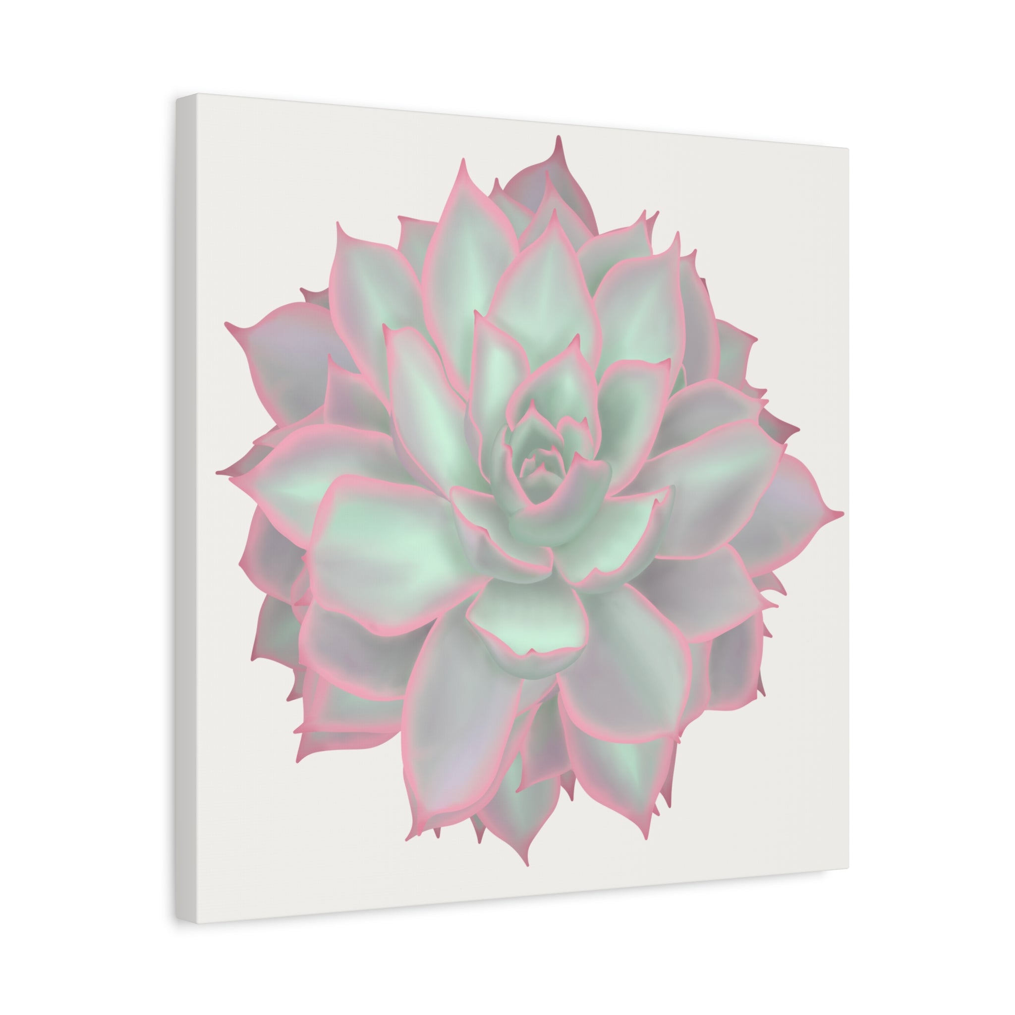Echeveria Violet Queen Succulent Canvas Print – Botanical Wall Art