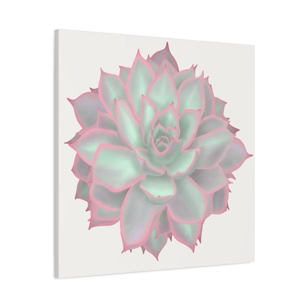 Echeveria Violet Queen Succulent Canvas Print – Botanical Wall Art