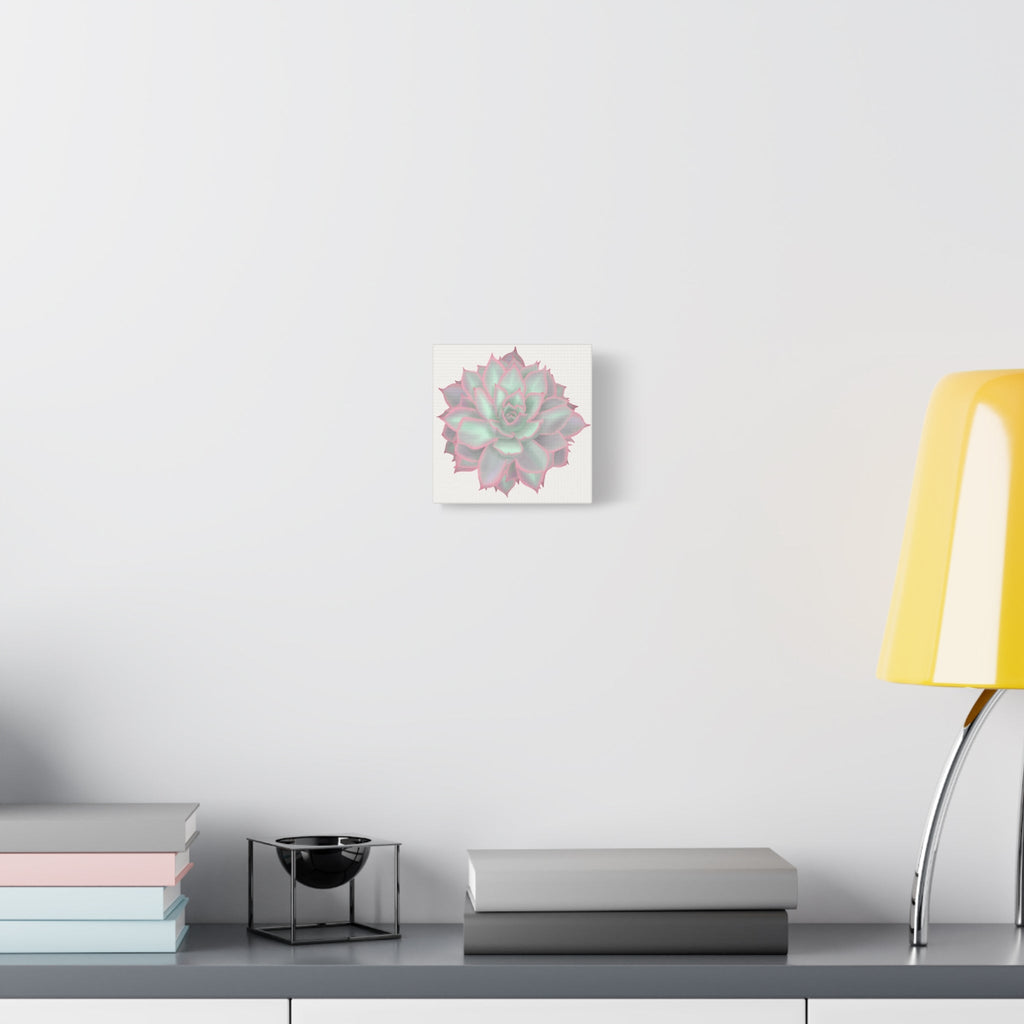 Echeveria Violet Queen Succulent Canvas Print – Botanical Wall Art