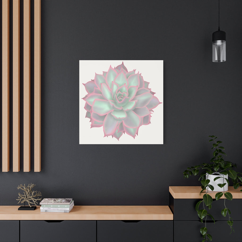 Echeveria Violet Queen Succulent Canvas Print – Botanical Wall Art