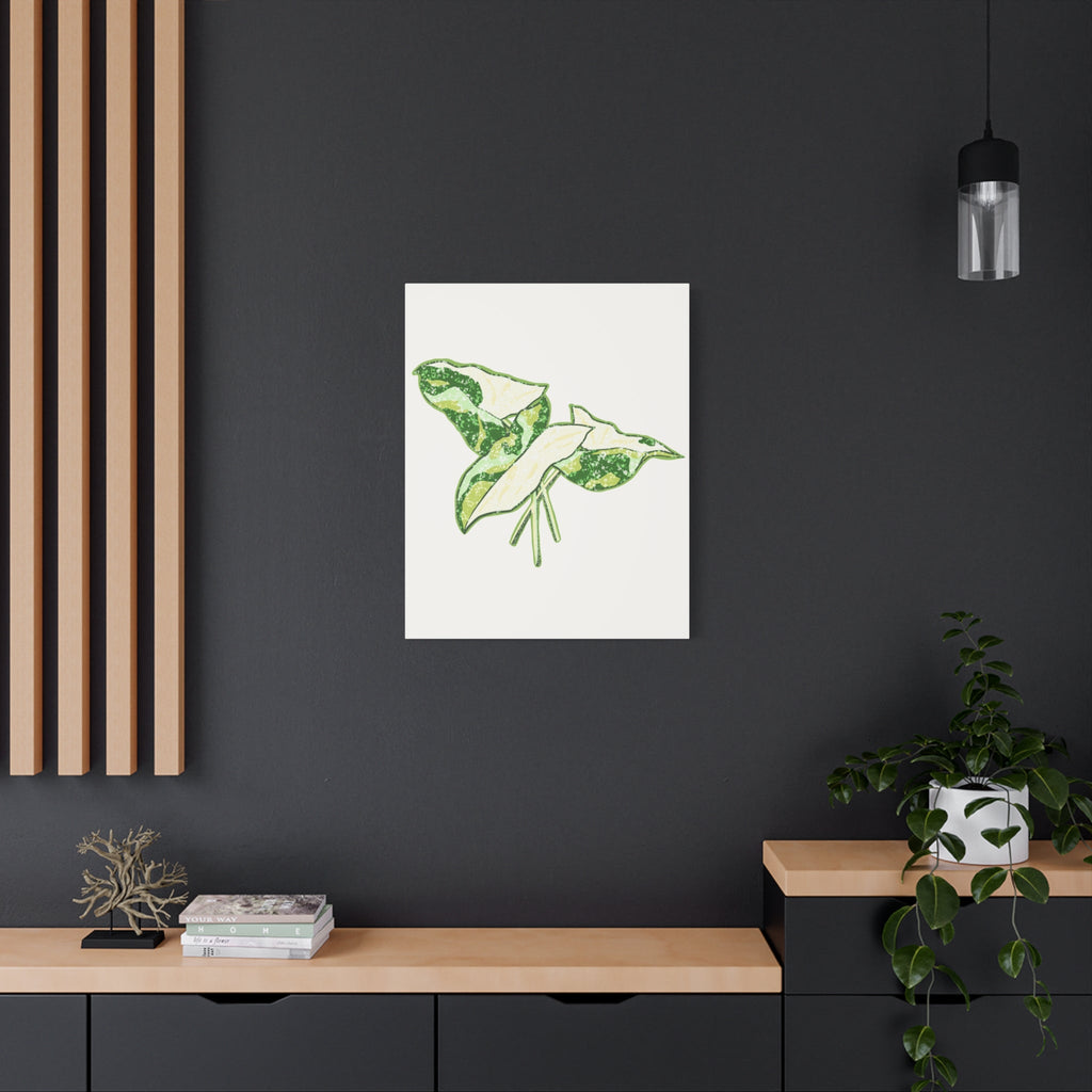 Marble Syngonium Canvas Print – Botanical Wall Art