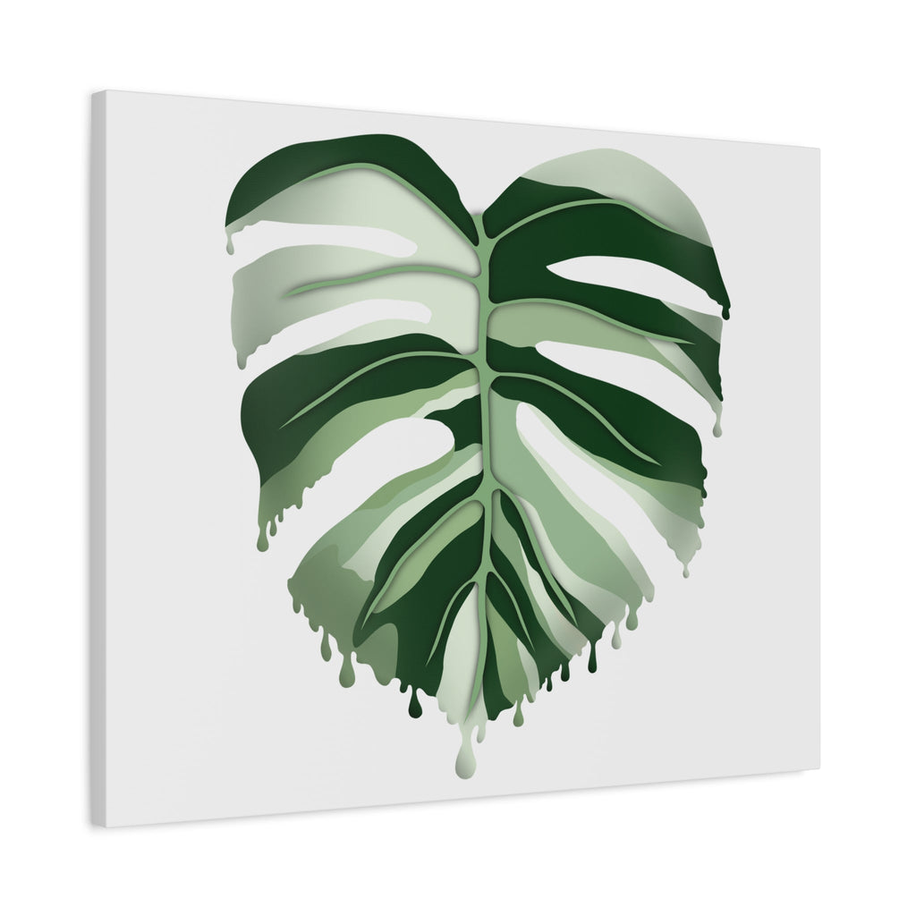 Melting Monstera Albo Canvas Print – Botanical Wall Art
