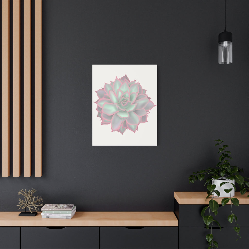 Echeveria Violet Queen Succulent Canvas Print – Botanical Wall Art