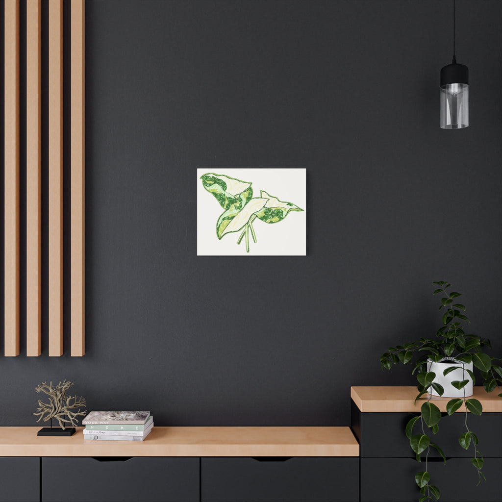Marble Syngonium Canvas Print – Botanical Wall Art