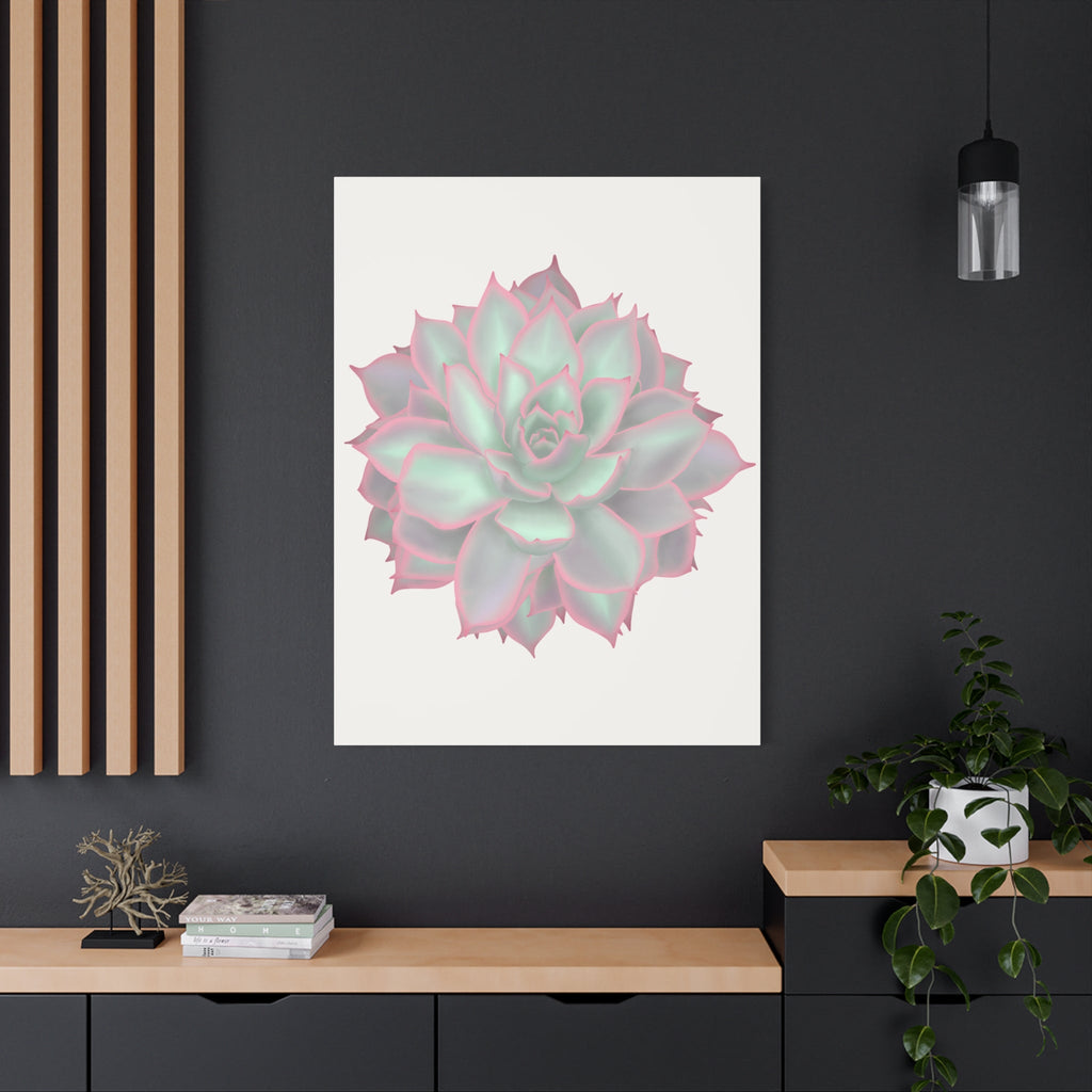 Echeveria Violet Queen Succulent Canvas Print – Botanical Wall Art
