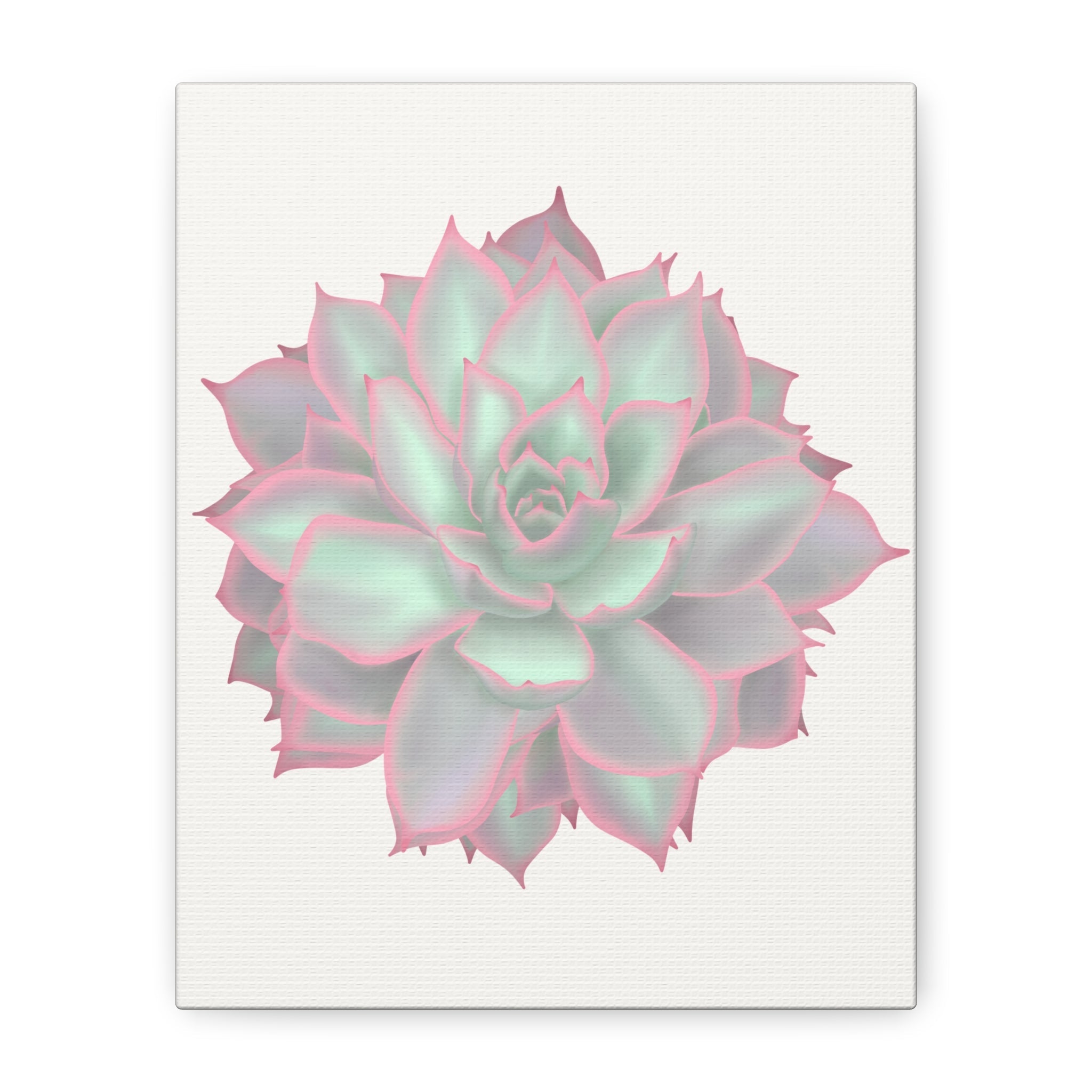 Echeveria Violet Queen Succulent Canvas Print – Botanical Wall Art