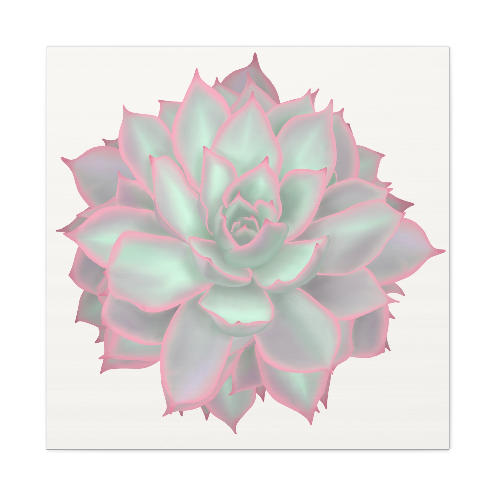 Echeveria Violet Queen Succulent Canvas Print – Botanical Wall Art