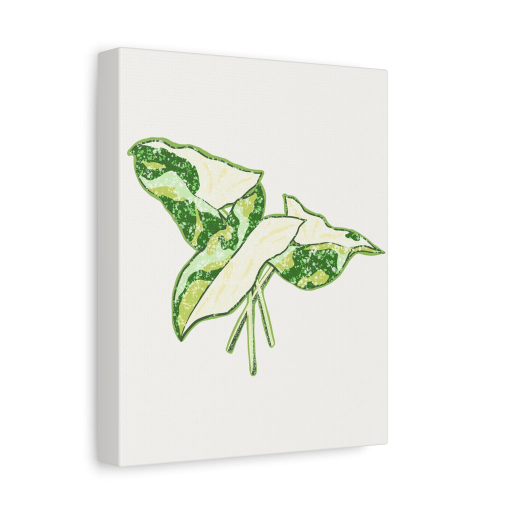 Marble Syngonium Canvas Print – Botanical Wall Art