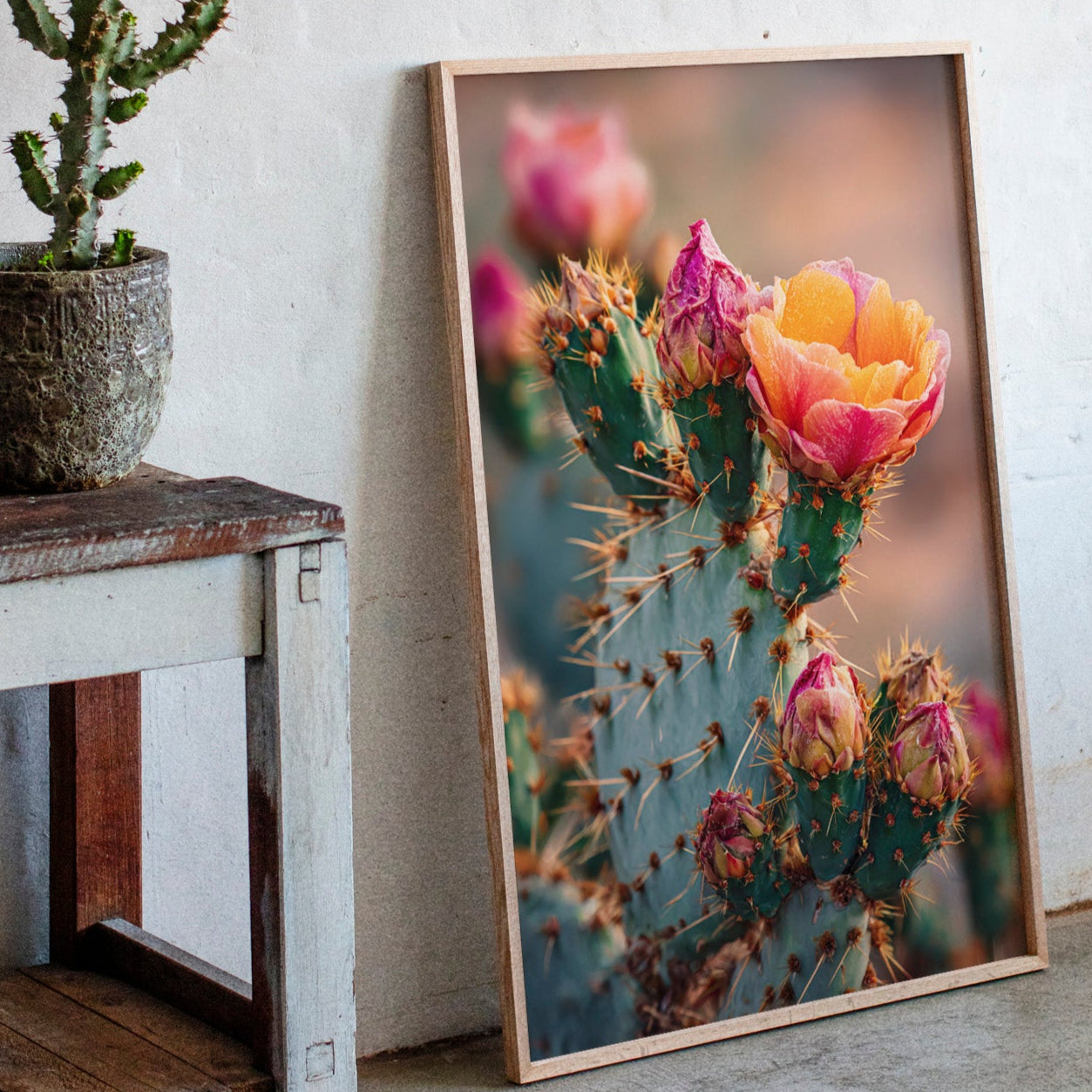 Blossoms Amidst Thorny Embrace - Poppy Natural
