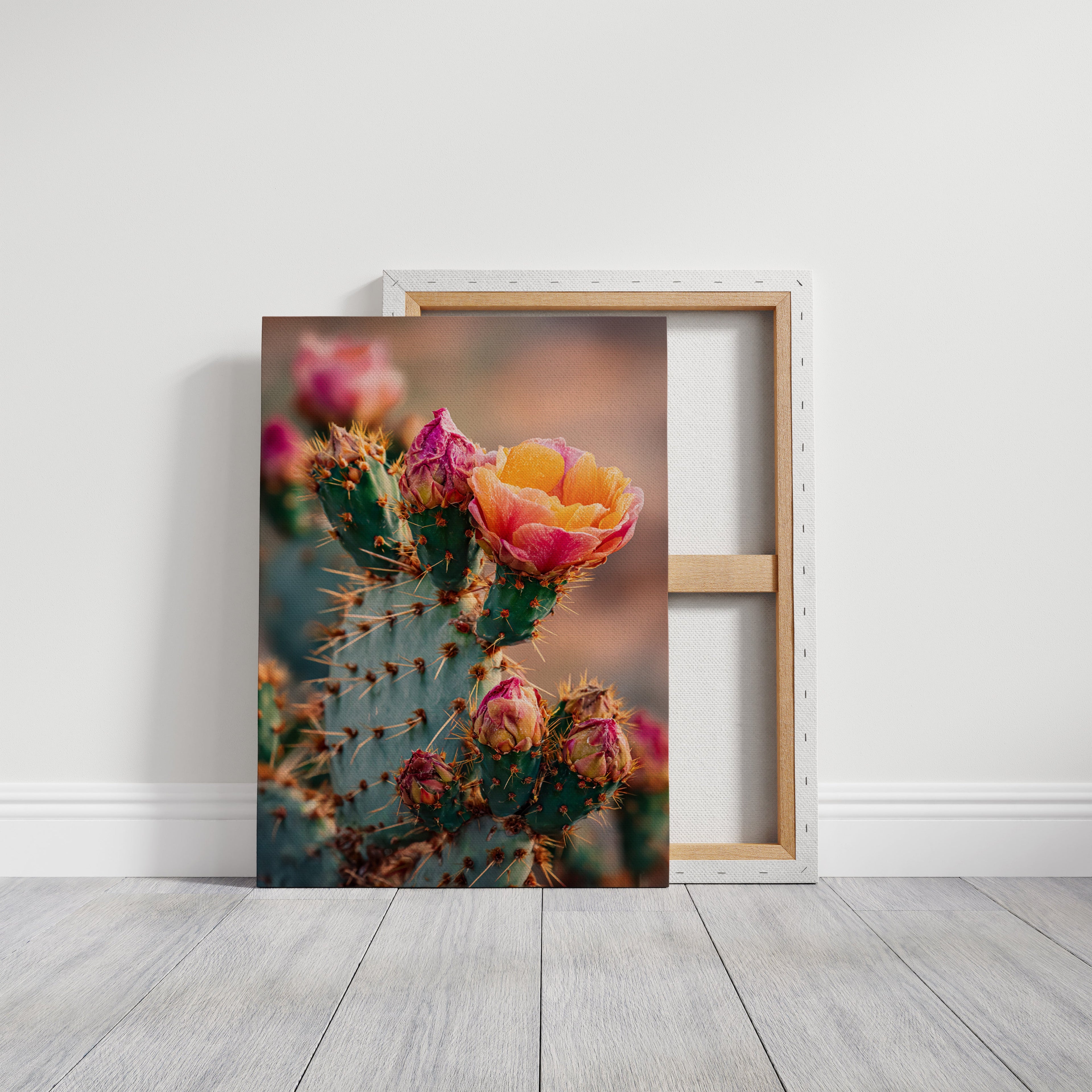 Blossoms Amidst Thorny Embrace - Poppy Natural