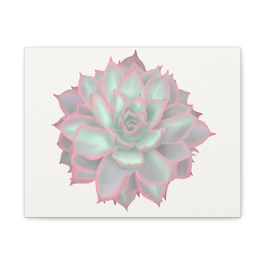Echeveria Violet Queen Succulent Canvas Print – Botanical Wall Art - Poppy Natural