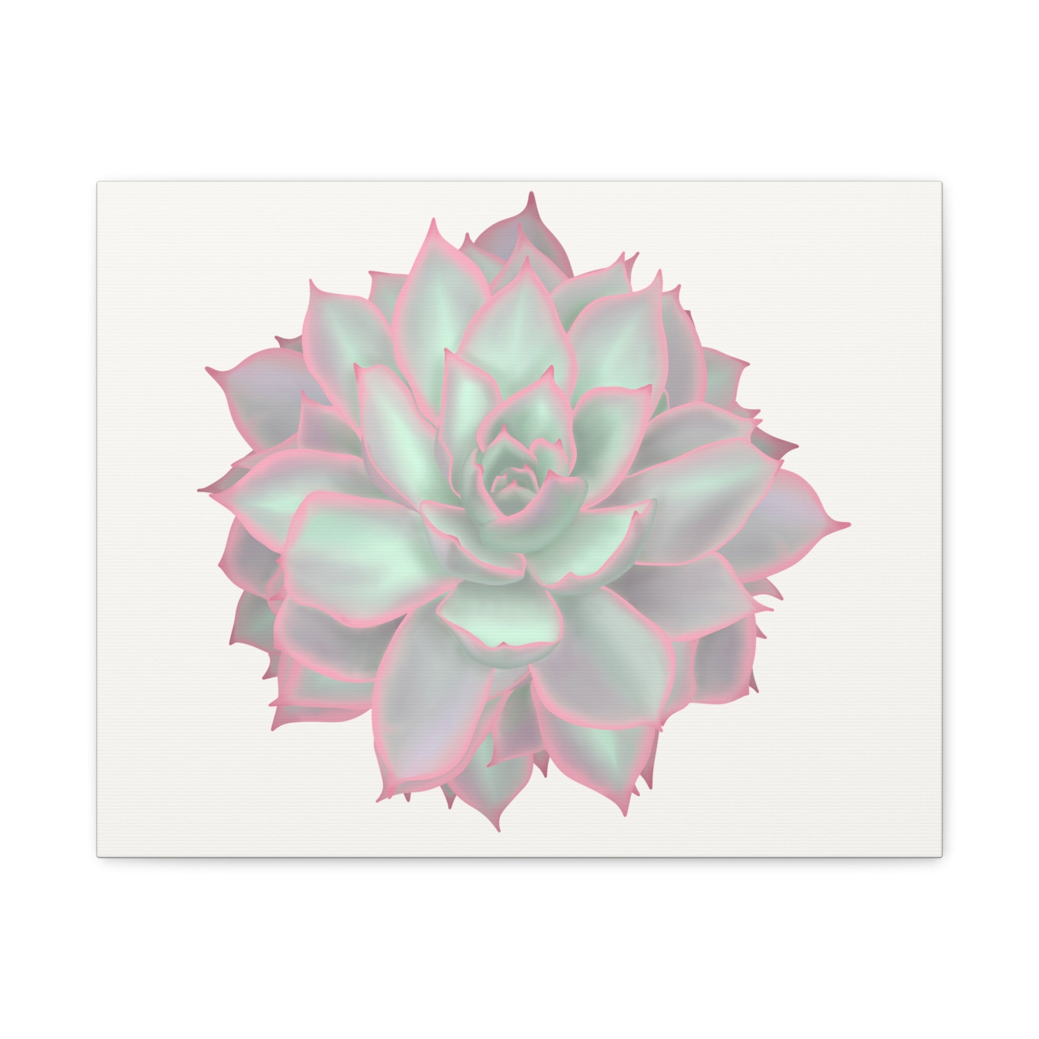 Echeveria Violet Queen Succulent Canvas Print – Botanical Wall Art - Poppy Natural