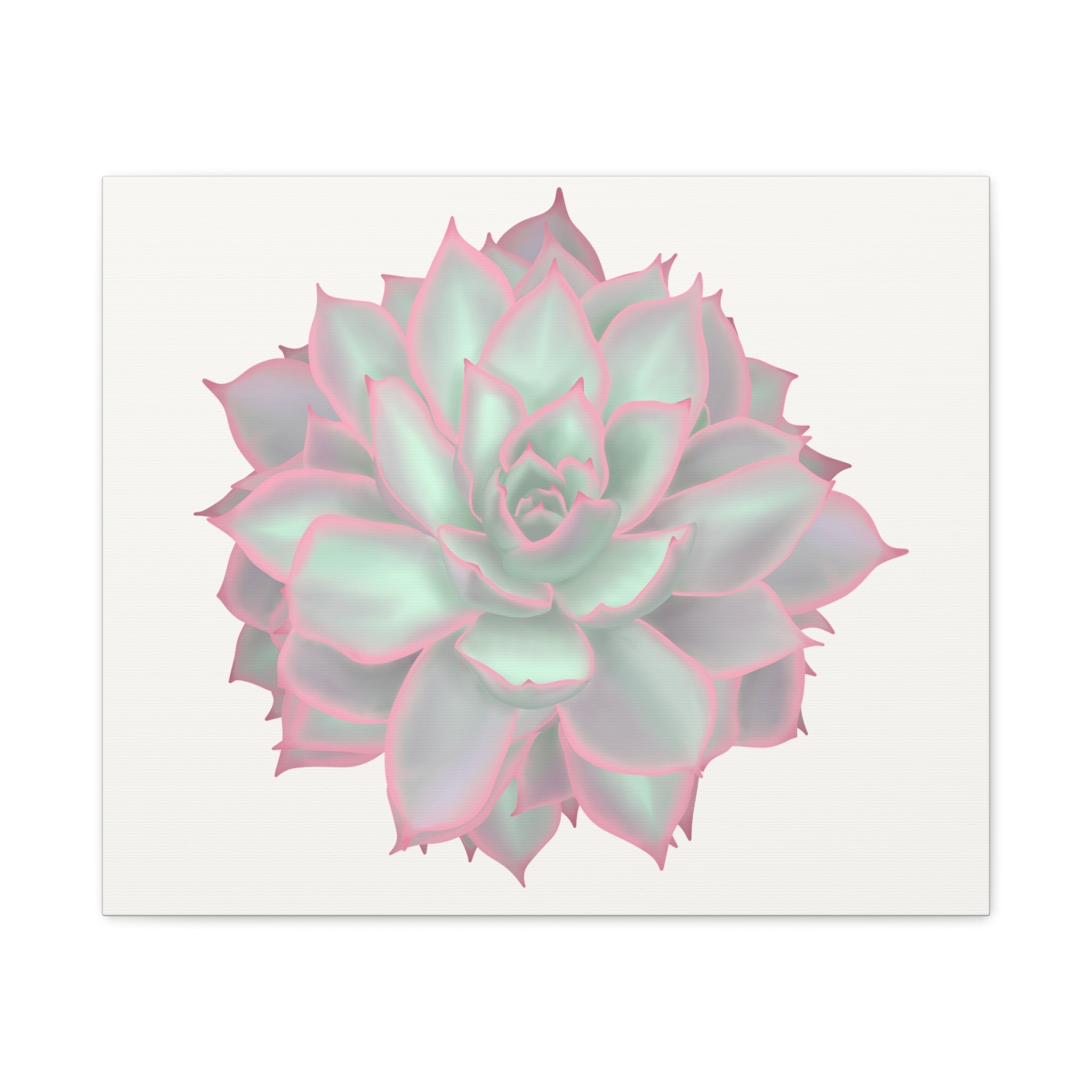 Echeveria Violet Queen Succulent Canvas Print – Botanical Wall Art - Poppy Natural