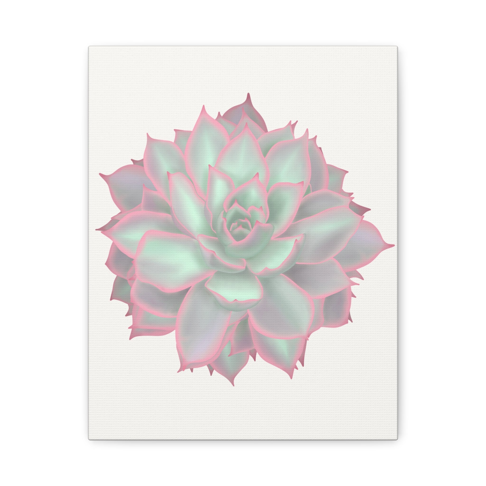 Echeveria Violet Queen Succulent Canvas Print – Botanical Wall Art - Poppy Natural