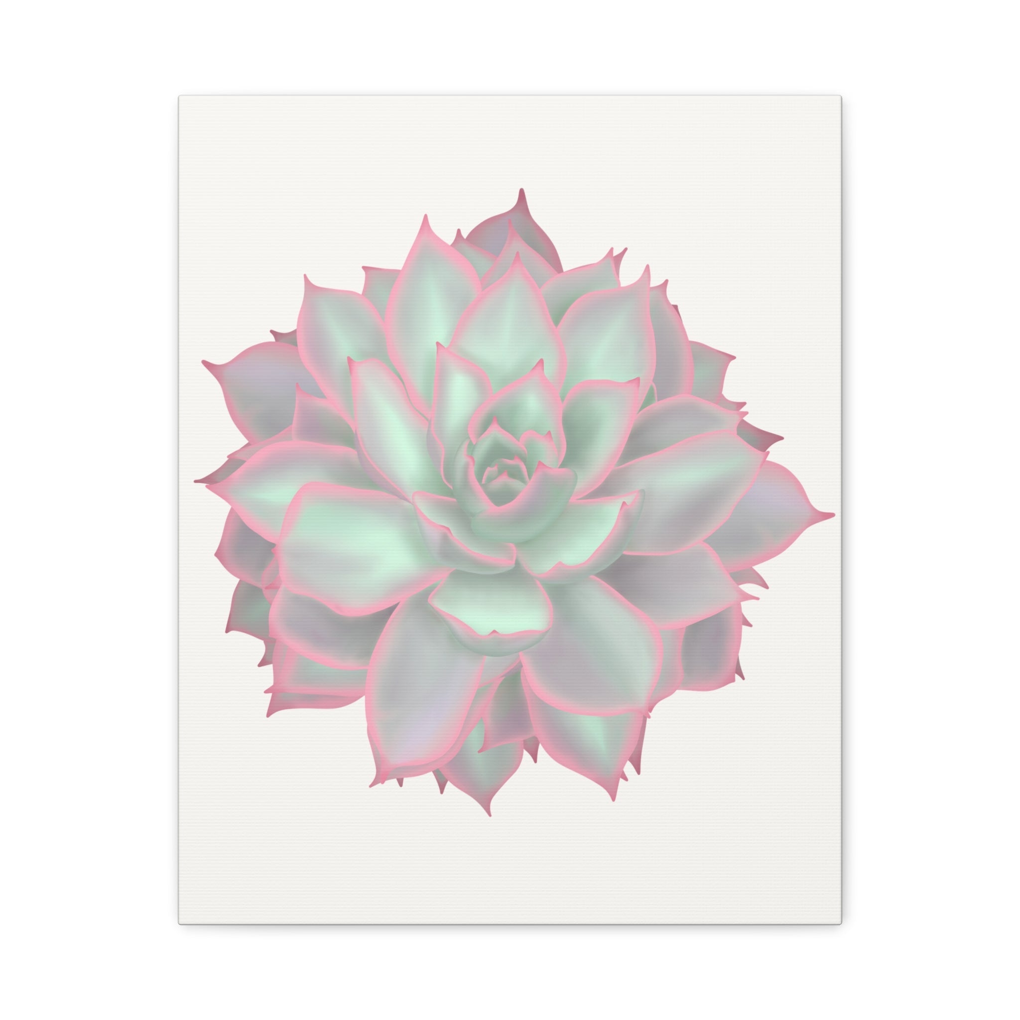 Echeveria Violet Queen Succulent Canvas Print – Botanical Wall Art - Poppy Natural