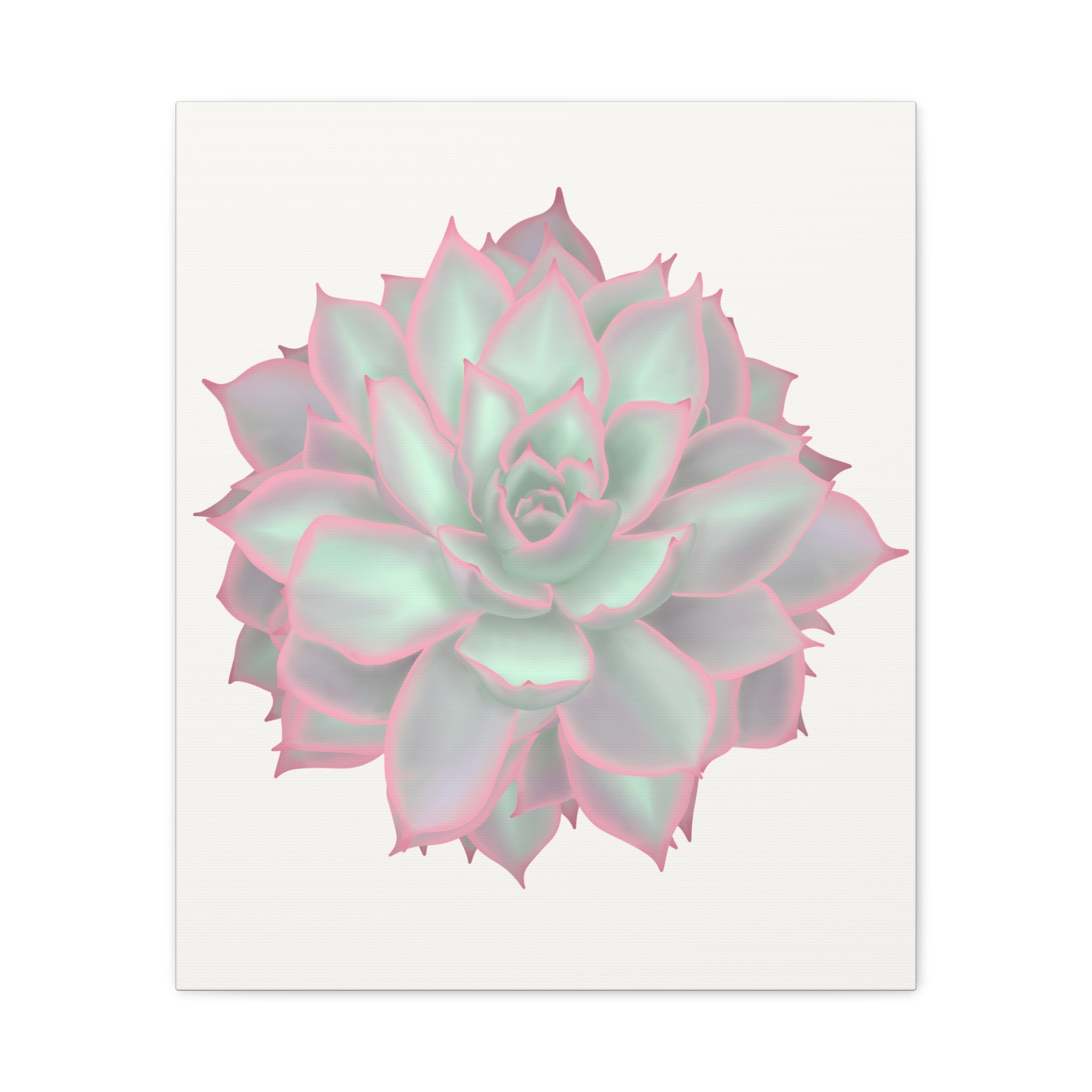 Echeveria Violet Queen Succulent Canvas Print – Botanical Wall Art - Poppy Natural