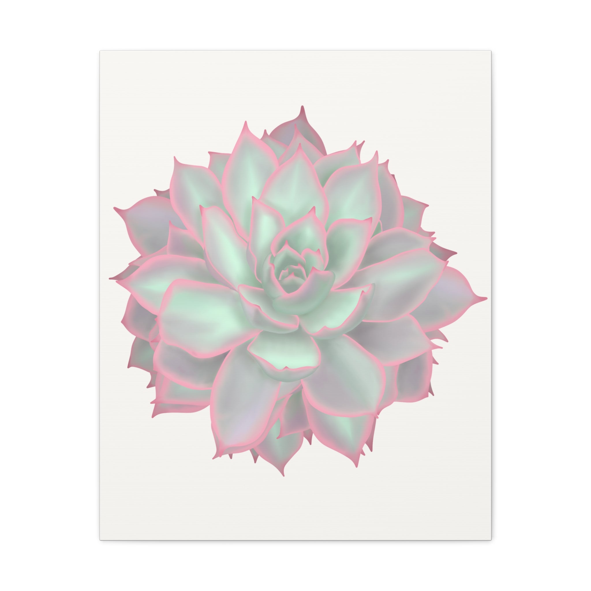 Echeveria Violet Queen Succulent Canvas Print – Botanical Wall Art - Poppy Natural