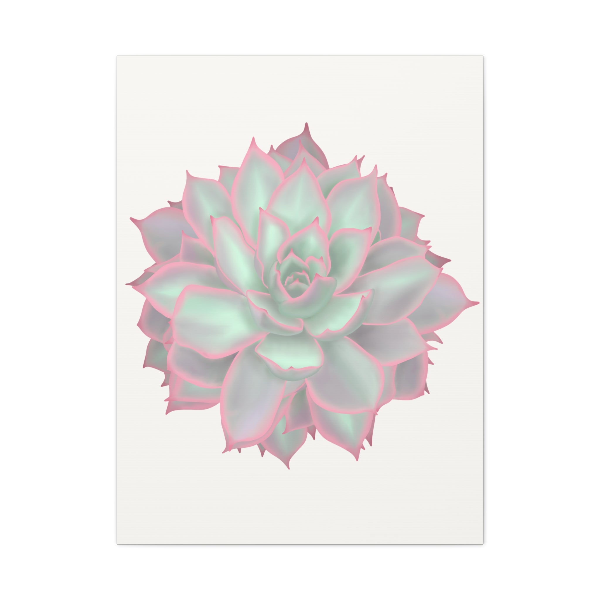 Echeveria Violet Queen Succulent Canvas Print – Botanical Wall Art - Poppy Natural